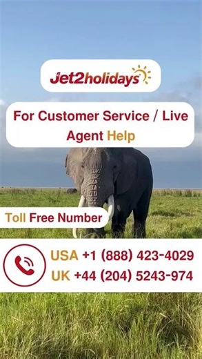 Speak to Jet2Holidays Live Agent for Quick Solutions
