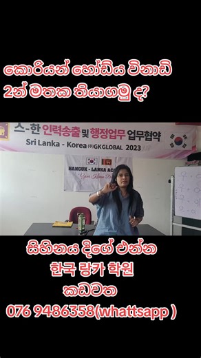 Korean-Inspired Birthday Party Video