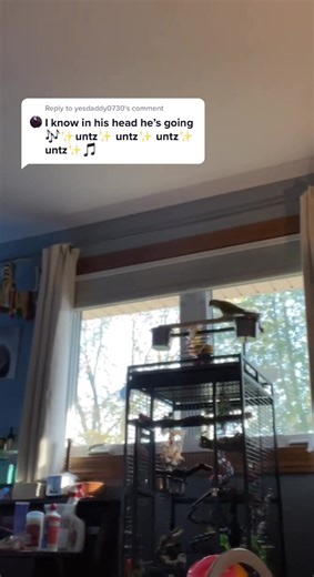 Hot Tub Beatboxing with Angus the Parrot