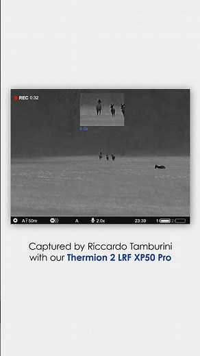 Thermal Scope Footage from Thermion 2 LRF XP50 Pro #shorts