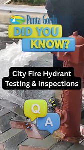 City Fire Hydrant Testing and Inspections The City is performing routine fire hydrant testing and maintenance to make sure hydrants are ready to provide the water flow and pressure needed in an emergency. During this time, hydrants will also be painted to help prevent rust, improve visibility, and show their flow capacity. You may notice temporary water discoloration or a brief change in water pressure while testing takes place. This is normal and your water is still safe to drink. The discolora