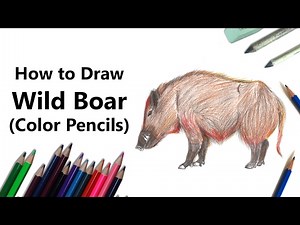 How to Draw a Wild Boar with Color Pencils [Time Lapse]