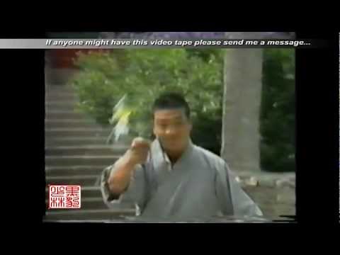 very rare shaolin kung-fu demo of master shi yan zi