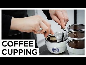 Coffee Cupping 101 | European Coffee Trip x DRWakefield