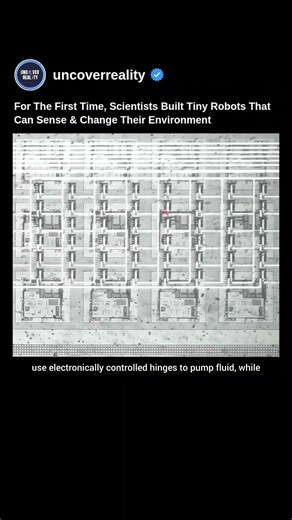 For First Time, Scientists Built Robots That Can Sense & Change Their Environment #robot #shorts