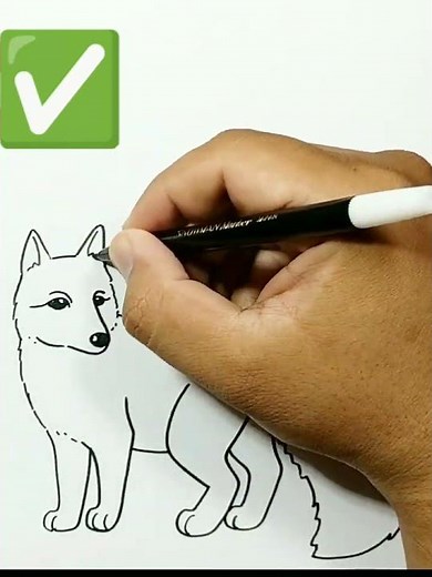 DRAWING ARCTIC FOX