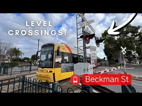 Adelaide Transport Vlog 14: Beckman St Trams
