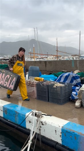 Empordà Mar on Instagram: "🚨Des d’Empordà Mar donem suport al sector pesquer i defensem una professió essencial, transmesa al llarg de moltes generacions, que garanteix l’alimentació i el sosteniment econòmic de nombroses famílies. Apostem per una pesca sostenible i ètica, basada en el coneixement del medi marí, la gestió responsable dels recursos i el respecte pels ecosistemes. 🌱 Aquest objectiu es veu compromès per la pressió institucional derivada de normatives elaborades des dels despatxos