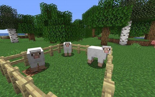 What do sheep eat in Minecraft?