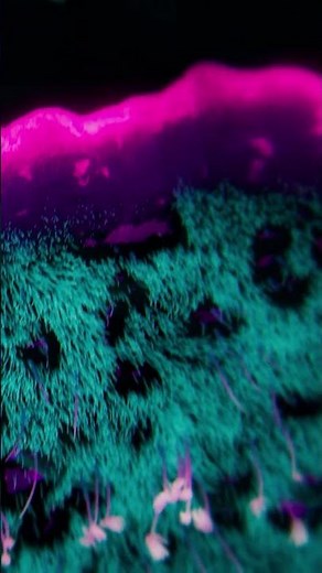 My track “Fly” on Piano Book 2 pays homage to Ludovico Einaudi’s original version.