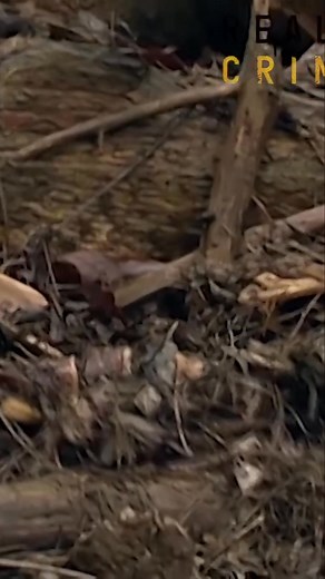 We explore the tragic story of 14-year-old Regina Kay Walters, who ran away from home in Pasadena, Texas. Uncover the circumstances that led her to hitchhike and the dangers she faced when a trucker offered her a ride. #TrueCrime #TexasHistory #MissingPerson #CrimeStories #PasadenaTexas #TeenageRunaway #Trucker #Mystery #Unsolved #ColdCase | Real Crime