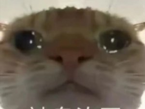 【pcman0078】UP主初体验，欢迎大家围观！