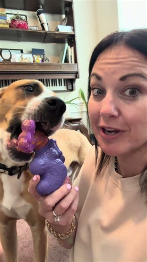 Tough Dog Chew Toy Review | Durable Squeaky Toy for Aggressive Chewers