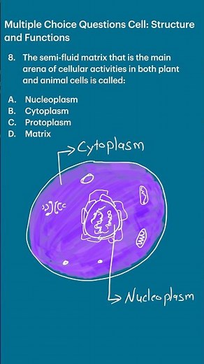 8-Multiple Choice Questions Cell: Structure and Functions