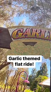 This might be the most uniquely themed amusement park ride out there. #amusementpark #rollercoaster #travel | In The Loop