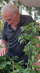 What if aged care felt more like home? With Uniting’s residential aged care, that’s exactly what our Household Living Model is all about - giving residents choice and control over their daily lives. From when they wake, to what’s on the menu, to how they spend their day - it’s their say. For almost 10 years, Uniting has led this person-centred approach, long before the new Aged Care Act called for greater autonomy and dignity in residential care. As the sector enters a new era of reform this Nov