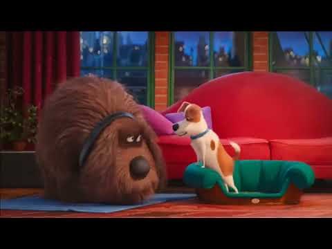 Max Y Duke - La Vida Secreta De Tus Mascotas - Español Latino.