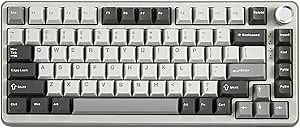 YUNZII B75 PRO Wireless Mechanical Keyboard,75% Layout with Knob,Hot Swap Gasket Custom Structure,Creamy Pre-lubed Switches,RGB Backlit,Bluetooth/Type-C/2.4G for Win/Mac(Cocoa Cream V2 Switch,Grey)