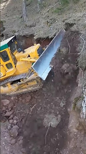 SARI KEDİ TAŞLARLA SAVAŞIYOR #shorts #kesfeteyyiz #automobile #goldrush #bulldozer #KEŞFET