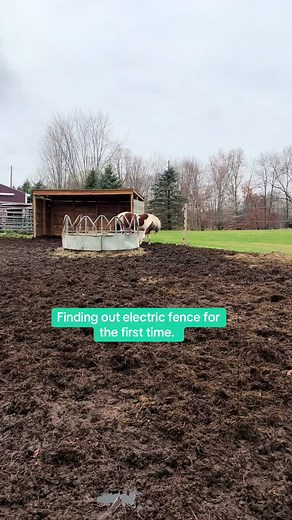 Dusti Gleason (@dustigleason)’s videos with Sweet Rose - Lincoln Swanzy