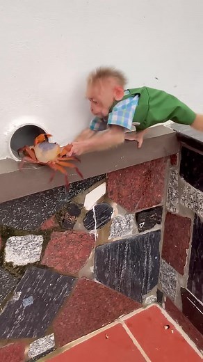 The monkey is so smart | Monkey BiBi