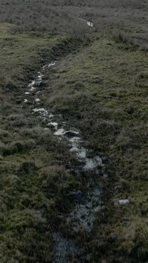 3% of land: more carbon than forests #peatlands #climate #carbon