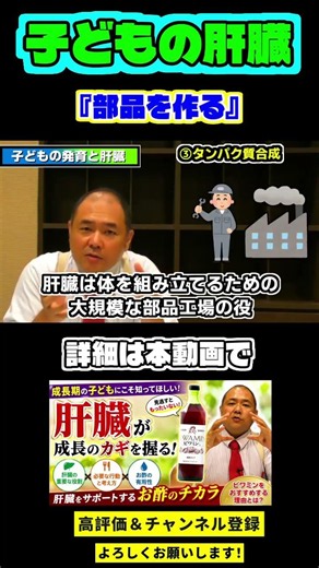 子どもの肝臓 切り抜き⑦「部品を作る」 #成長期 #子どもの健康 #肝臓