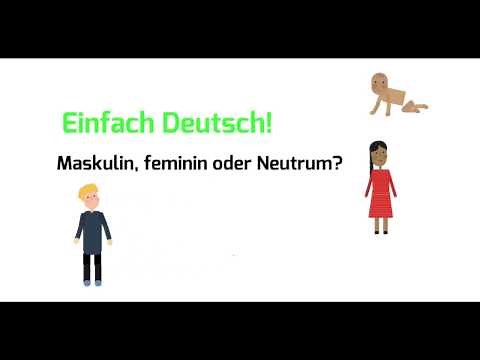 Maskulin, feminin oder Neutrum?