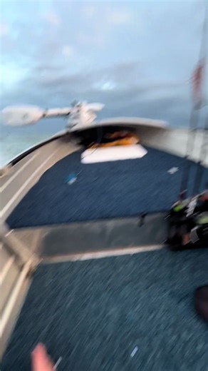 Few dogs recently #fish #vanford2500 #fyp