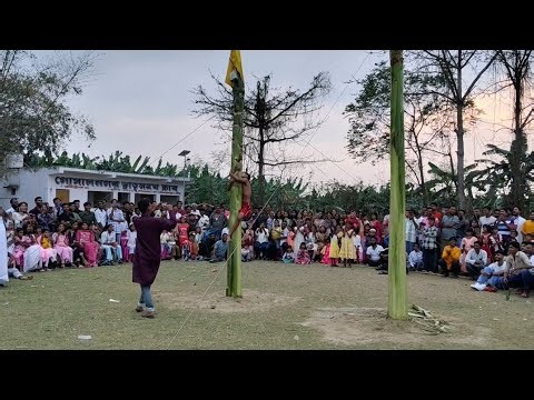 Banana Tree Climbing Competition 