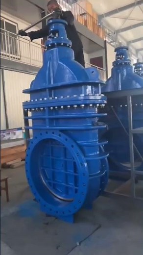 Big Gate Valve #valves #ytshorts