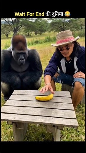 जानवरों के gajab कारनामें 😂 wait for twist 😂 #funny #shorts #animals