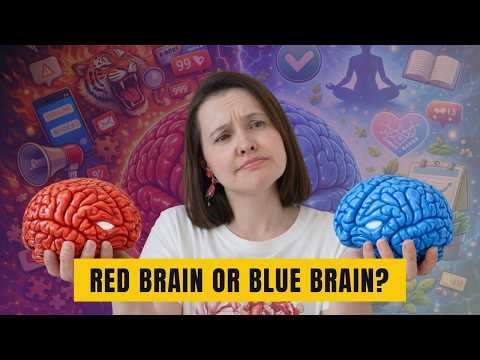 Blue Brain vs Red Brain: Which One Is Running Your Life?