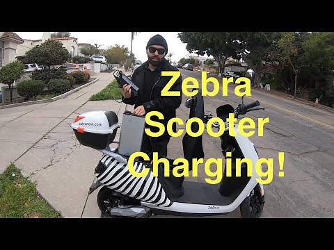 How to Recharge Zebra Scooter Battery