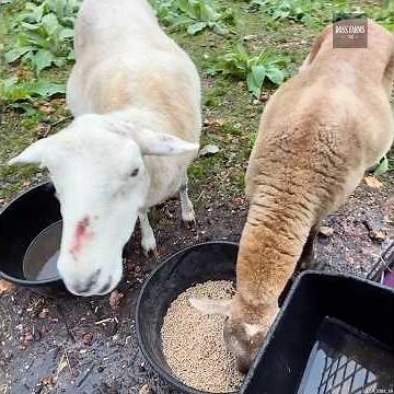 How did this happen?!