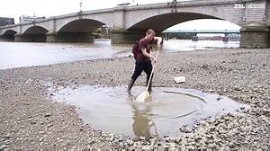 1.8K views · 37 reactions | Over the past two years, ZSL has been studying a curious fish in the Thames. It's called smelt, it smells of cucumber and we've been conserving it and learning all about it with the help of our amazing citizen scientists. WATCH: | ZSL | Facebook