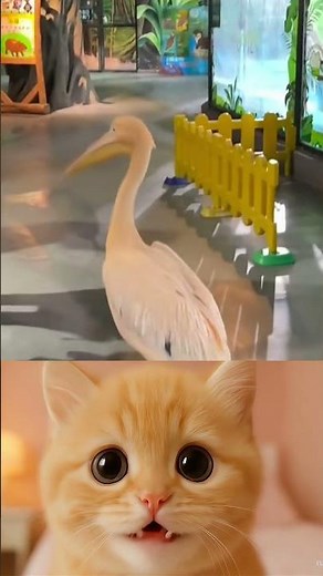 Funny Pet Fails Compilation Hilarious Animals Getting Into Trouble Must See Moments! #114