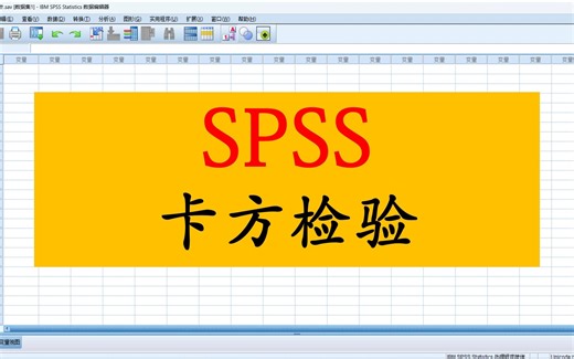 SPSS-卡方检验2-卡方检验-2X2四格表卡方检验-大鹏统计SPSS数据分析-SPSS统计分析实战-SPSS数据分析