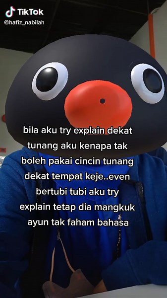 Exploring the Penguin Mask Explanation Video