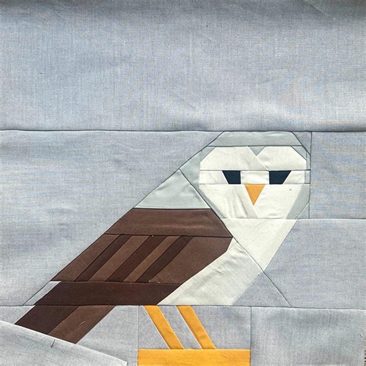 Owl Quilt Block Pattern | FPP Foundation Paper Piecing | Modern Bird Quilt Block | Big Backyard Birds Series | PDF Pattern 12" 20" - Etsy UK
