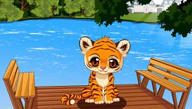 Baby Pet Tiger