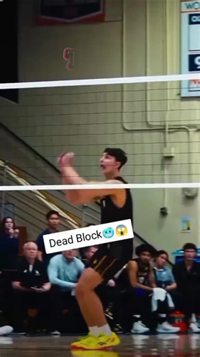 Mastering the Art of Monster Blocks in Volleyball