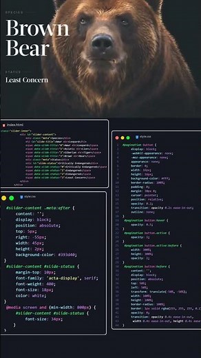 Master Responsive Carousels with Easy CSS Animations