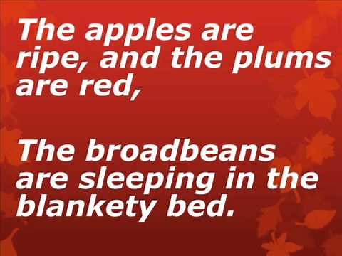 cauliflowers fluffy with lyrics (backing track)