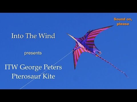 Into The Wind George Peters Pterosaur Kite