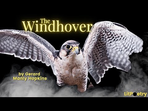 'The Windhover' by Gerard Manley Hopkins (Poetry Analysis Video)