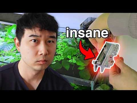 I found cheap TEMU fish tank stuff that BLEW MY MIND