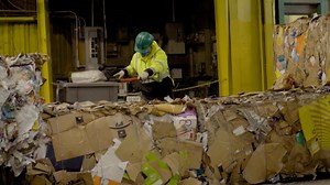 Recycling basics: Expert tips for recycling properly