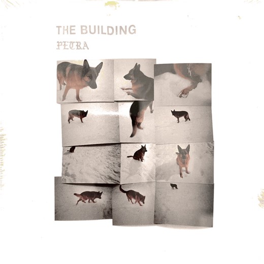 The Building - Petra