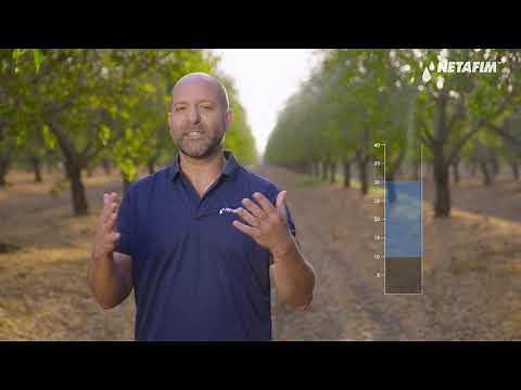 AgroBites- Effective Rainfall | Netafim